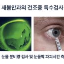 새봄안과 이미지
