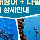 상어식당 이미지