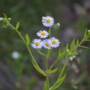 브루스인터내셔날 이미지