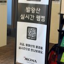 대신카프라자 | 평창 발왕산 케이블카 후기! 백두대간 파노라마를 한눈에 보다!