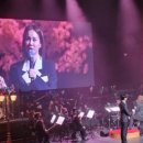 순정대학 밀당대학 이미지