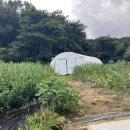 성하리 마을회관 이미지