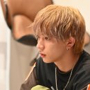 도그라이프 이미지