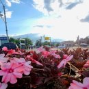 강현면사무소 이미지