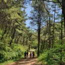 운봉읍 산덕마을 | 지리산 바래봉 등산코스 산덕마을 최단코스 (팔랑치 철쭉 개화시기)