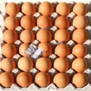 명진계란 이미지