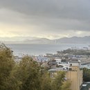 미도주택 | 일본 교토 근교 힐링 여행코스 비와호 시라히게 신사 우키미도 가는법