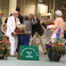 2010.05.29 LOS ANGELS COUNTY FAIR GROUNDS POMONA CA 이미지