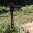 암소고개로 이미지