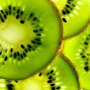 키위 이미지