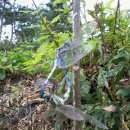 사랑은 아름다워라 이미지