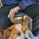 워니시티 이미지