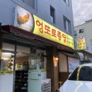 엉또토종닭샤브샤브 | [서귀포 엉또토종닭] 역대급 사이즈의 토종닭이 맛있는 서귀포닭샤브샤브백숙맛집 / 내돈내산