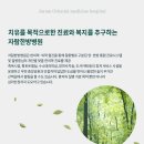 자람한방병원