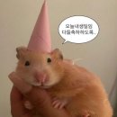 마장갈비 | 분당 정자동 정자역 백갈비 고기맛집 [마장돈백갈비 정자역점] 내돈내산 후기