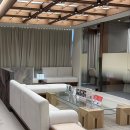 이마 | 이마거상 후기, 눈꺼풀 처짐 원인은 이마에 있었어요