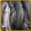 덕동한의원 이미지