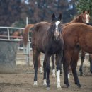 해피투데이 2 이미지