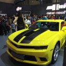 토종장수삼계탕 이미지