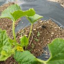 소흘농협경제사업소 이미지