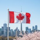 꾸꾸아트학원 | 캐나다 어학연수 준비 🇨🇦 / 짐싸기 준비물 / 유학원 고르기 / 출국 준비