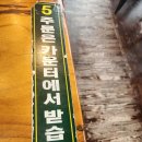 안양짝갈비 | 안양시민 추천 맛집 인덕원 비빔국수 본점