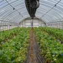 영복농장 이미지