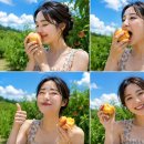 모이세농원 그린황도 올해 첫 복숭아 후기