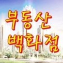 21C공인중개사사무소 이미지