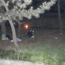 신호솔밭공원 이미지