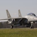 F14 이미지