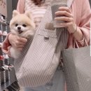 디엔씨펫 이미지