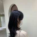 헤어블레스 이미지