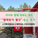 협재둥지 이미지