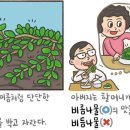 [예쁜 말 바른 말] '돌나물'과 '비름나물' 이미지