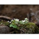 남도건설 주식회사 이미지