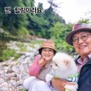 설악 대문터 계곡 펜션 | #양양설악대문터팬션. #계곡팬션. #녹음속자연팬션. #반려견동반팬션