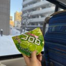 씽씽중국어 | 삿포로 비에이 (크리스마스나무, 자판기사진, 키친요시미, 흰수염고래, 탁신관, 자작나무, 사계채의언덕...