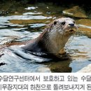 초록땅 이미지