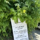 제주아그로 | 당진 카페 당진에서 제주 즐기기 아그로랜드 우유농가내돈내산 찐 후기 너무 이쁨🤍 1탄