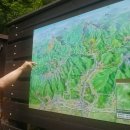 배내허브랜드 이미지