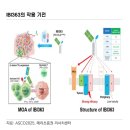 한미약품(주)연구센터 | 넥스트 키트루다를 찾아서 #2. IL-2 신약개발 (와이바이오로직스, 지아이이노베이션, 한미약품)