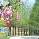 부부1 태양광발전소 이미지