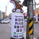 파주 유모차 카시트 세탁 하마운동화손세탁 대만족 후기