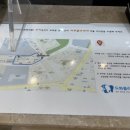 도화플러스치과의원 네이버블로그