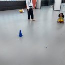 MTA 힘찬태권도 이미지