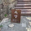 옥향식당 | 광주 양림동 맛집 옥향 깔끔한 닭장칼국수 맛집 점심 식사 추천