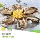 제철수산물