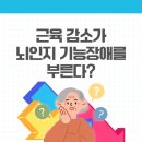 팜프렌즈