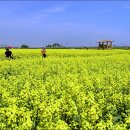 하늘정원1 이미지